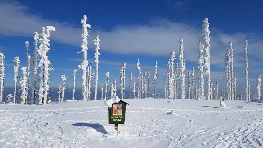 Winterbild-Sonnenhof-Dreisesselberg