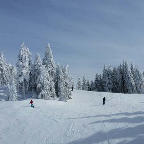 Skipiste mit Schifahrer