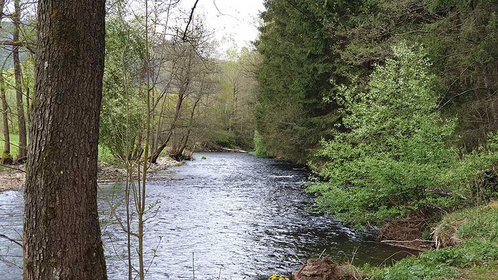 Wandern-Sonnenhof